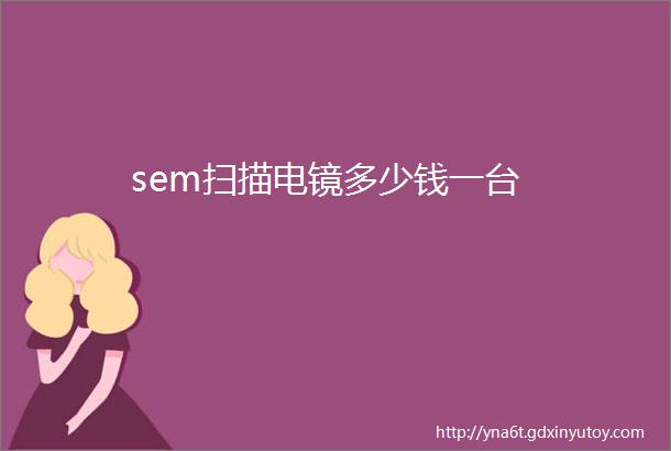 sem扫描电镜多少钱一台