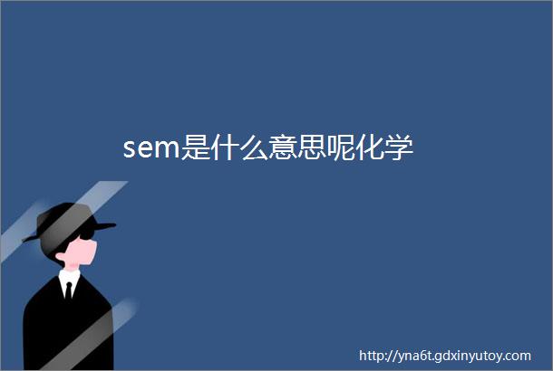 sem是什么意思呢化学